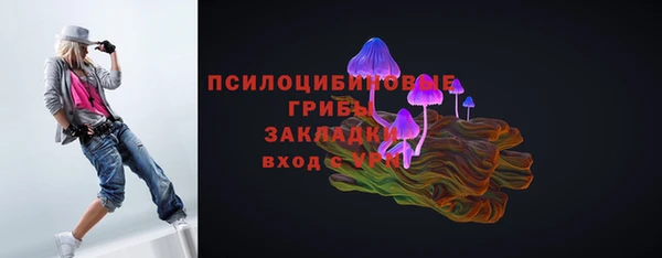 прущая мука Алзамай