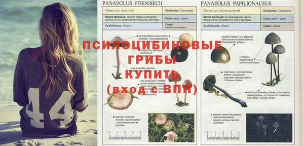 a pvp Алексеевка