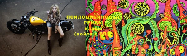 прущая мука Алзамай