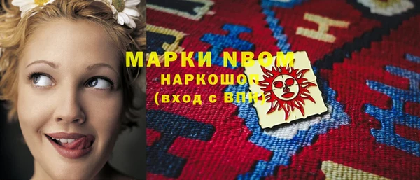 мет Алексин