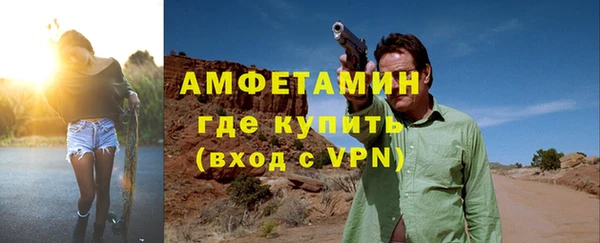 мет Алексин