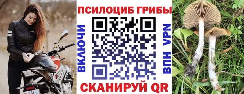 Галлюциногенные грибы мухоморы  Кольчугино 