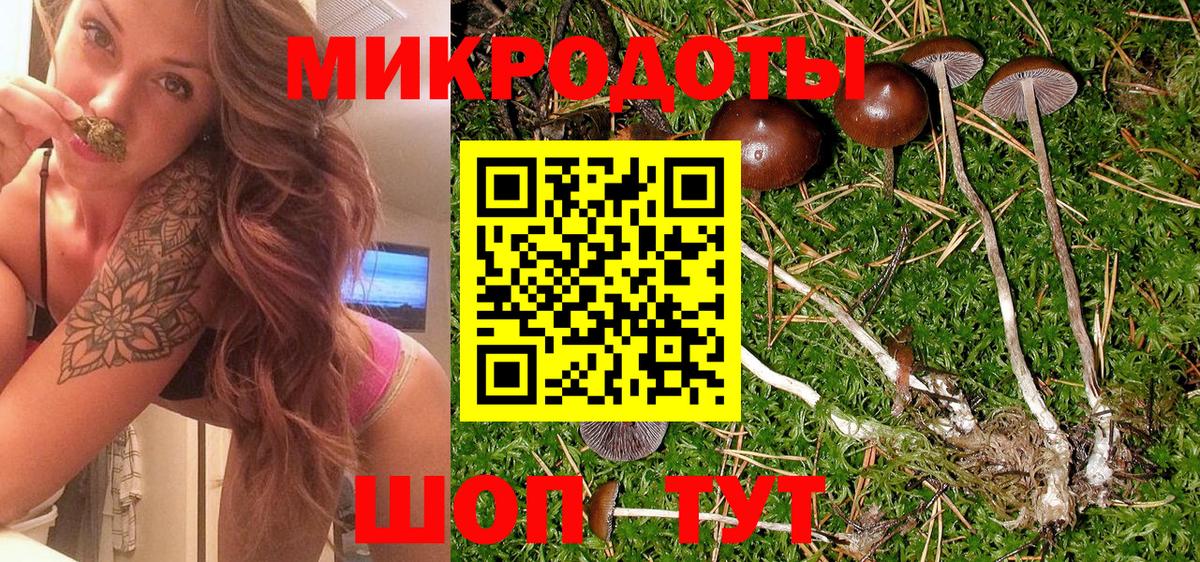 Кольчугино  Псилоцибиновые грибы Cubensis  сколько стоит  Вход с VPN  Галлюциногенные грибы прущие грибы 