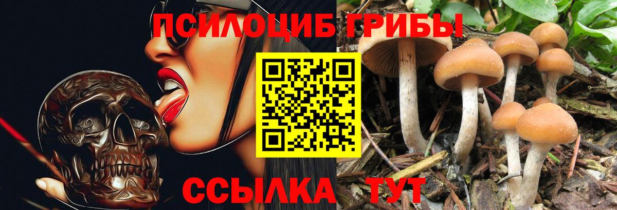 Псилоцибиновые грибы ЛСД Кольчугино